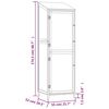 vidaXL Geräteschuppen Anthrazit 55x52x174,5 cm Massivholz Tanne