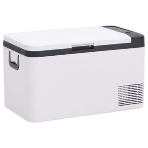 vidaXL K&uuml;hlbox mit Tragegriff Schwarz/Wei&szlig; 25L PP & PE
