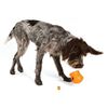 West Paw Hundespielzeug mit Zogoflex Toppl Orange S