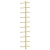 vidaXL Wand-Weinregale f&uuml;r 10 Flaschen 2 Stk. Golden Metall