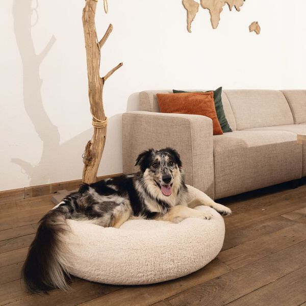 Beeztees Hundebett Jaxx Memory-Schaum 60x25 cm Beige