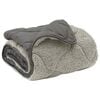 vidaXL Sommerdecke Hellgrau 200 x 240 cm Mikrofaser und Teddy-Fleece