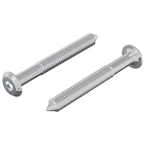 vidaXL Schraube 2 pcs Silber M6 x 50 mm Stahl