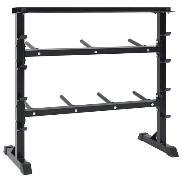 vidaXL Hantel Rack Schwarz 99 x 45 x 95,5 cm Pulverbeschichteter Stahl
