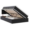 vidaXL Bett mit Stauraum und LED Schwarz 120 x 200 cm Kunstleder