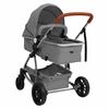 vidaXL 2-in-1-Kinderwagen Hellgrau Aluminium
