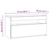 vidaXL TV-Schrank mit LED-Leuchten Schwarz 75x35x40 cm