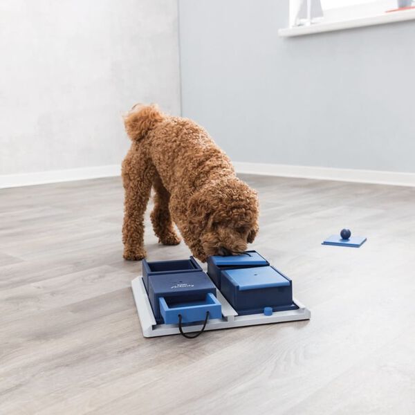Trixie Dog Activity Poker Box 1