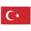 vidaXL Flagge der Türkei mit Mast 5,55 m Aluminium