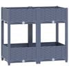 Blue_grey