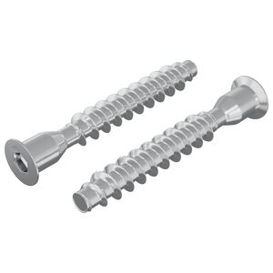 vidaXL Confirmat-Schrauben 2 pcs Silber &Oslash;7 x 50 mm Metall