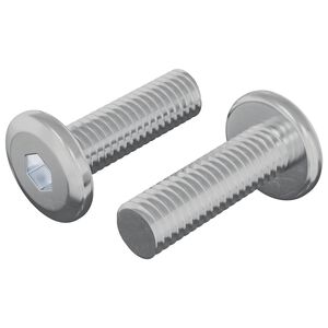 vidaXL Schraube 2 Stk. Silber 8 x 25 mm Stahl