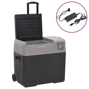 vidaXL K&uuml;hlbox mit Rollen und Adapter Schwarz & Grau 40 L Polypropylen