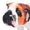 Produkt-Miniaturbild 3 von 5