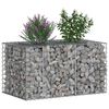 vidaXL Gabionen Hochbeet Silber 100 x 60 x 55 cm Verzinkter Stahl