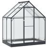 vidaXL Garten Gew&auml;chshaus mit T&uuml;r Anthrazit 183,5 x 123 x 207 cm
