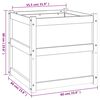 vidaXL Pflanzkübel 60x60x60 cm Massivholz Douglasie