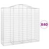 vidaXL Gabionen mit Hochbogen 40Stk. 200x50x180/200cm Verzinktes Eisen