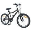 vidaXL Kinderfahrrad 20 Zoll 6-Speed f&uuml;r 6-11 Jahre alt Schwarz