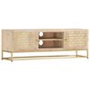 vidaXL TV-Schrank Golden 120x30x40 cm Massivholz Mango