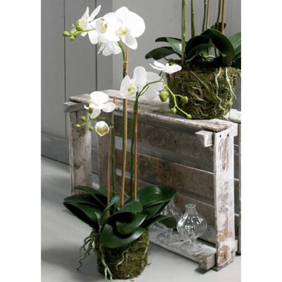 Emerald Künstliche Phalaenopsis-Orchidee Weiß 70 cm