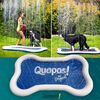 Quapas! Haustier-Sprinklermatte 140x90 cm Blau und Wei&szlig;