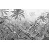 Komar Fototapete Amazonia Schwarz und Wei&szlig; 400x250 cm