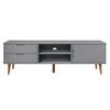 vidaXL TV-Schrank MOLDE Grau 158x40x49 cm Massivholz Kiefer
