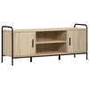 vidaXL TV-Schrank 119 x 33 x 50 cm Sonoma-Eiche