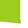 vidaXL Verdunkelungsrollo Gr&uuml;n 160x175cm Stoffbreite 156,6cm Polyester
