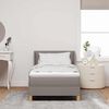vidaXL Boxspringbett mit Matratze Taupe 200 x 100 cm Stoff