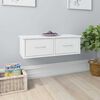 High_gloss_white