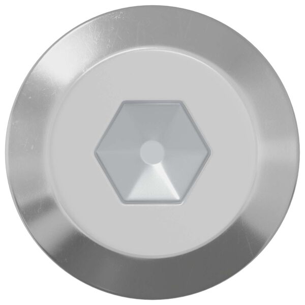 vidaXL Schraube 12 pcs Silber M6 x 60 mm Stahl