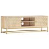 vidaXL TV-Schrank Golden 120x30x40 cm Massivholz Mango