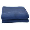 vidaXL Zeltteppich Blau 4,5x2,5 m