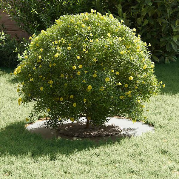 vidaXL geeignet f&uuml;r flachen Baumring Wei&szlig; &Oslash;30 / 60 cm Stahl