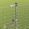 Produkt-Miniaturbild 3 von 11