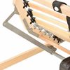 vidaXL Lattenrost Braun 80 x 190 cm Massives Buchenholz
