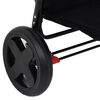 vidaXL 2-in-1 Kinderwagen Anthrazit Stahl