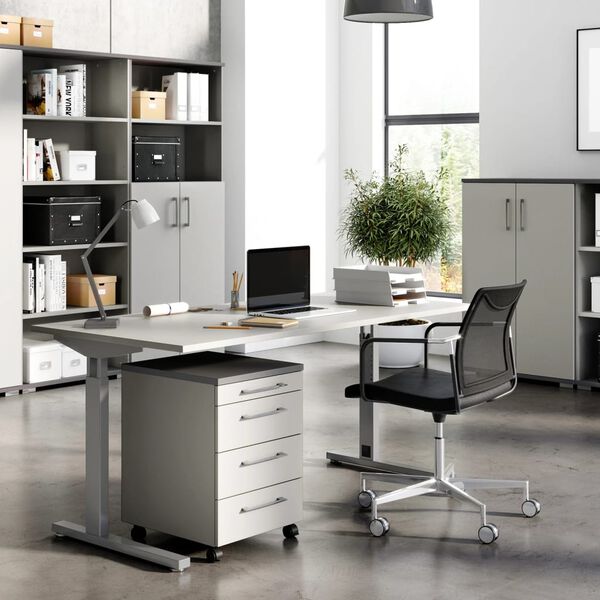 Germania Rollschrank GW-Profi 2.0 42x49x61 cm Hellgrau und Graphit