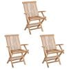 vidaXL Klappbarer Gartenstuhl 3 pcs Natur Massivholz Teak
