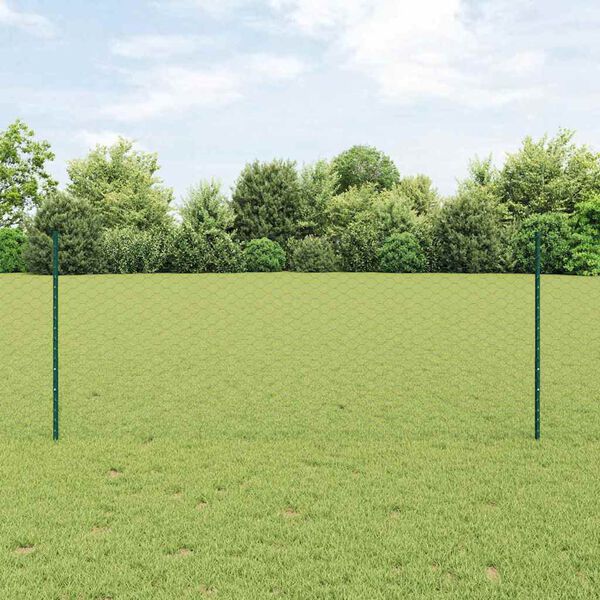 vidaXL Zaun mit Pfosten Gr&uuml;n 1 x 50 m Stahl und PVC