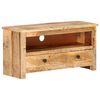 vidaXL TV-Schrank 79x30x40 cm Raues Mangoholz