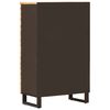 vidaXL Aufbewahrung Highboard Braun 60 x 33 x 100 cm Massivholz Mango