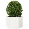 Produkt-Miniaturbild 3 von 10