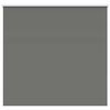 vidaXL Verdunkelungsrollo Grau 165x150cm Stoffbreite 161,6cm Polyester