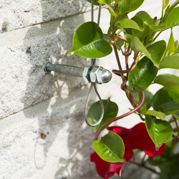 Nature Rankseilsystem f&uuml;r Kletterpflanzen 6040760