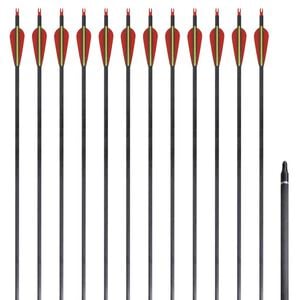 vidaXL Recurvebogen-Pfeile 30" 0,76 cm Carbon 12 Stk.