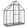 vidaXL Gew&auml;chshaus mit Fundamentrahmen Anthrazit 169x58x202 cm Alu