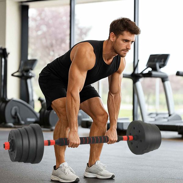 vidaXL 2-in-1 Hantelset Schwarz und Rot 121 x 19,5 x 19,5 cm